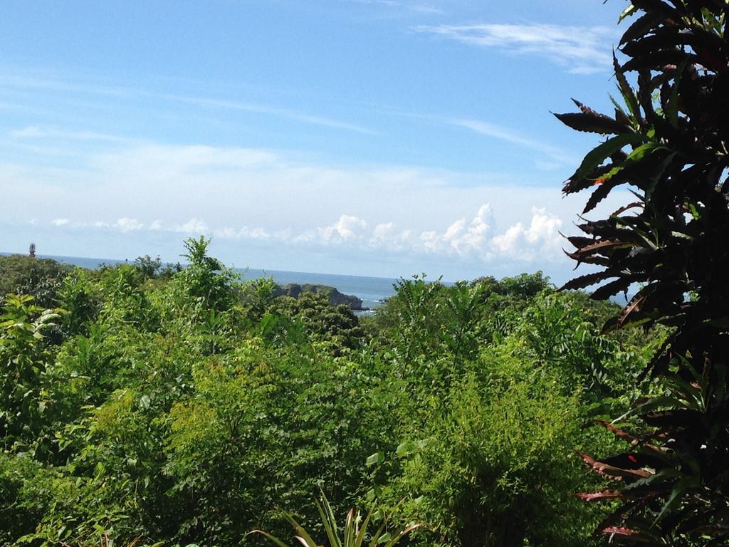 Villa Mango B&B Nosara Exteriör bild