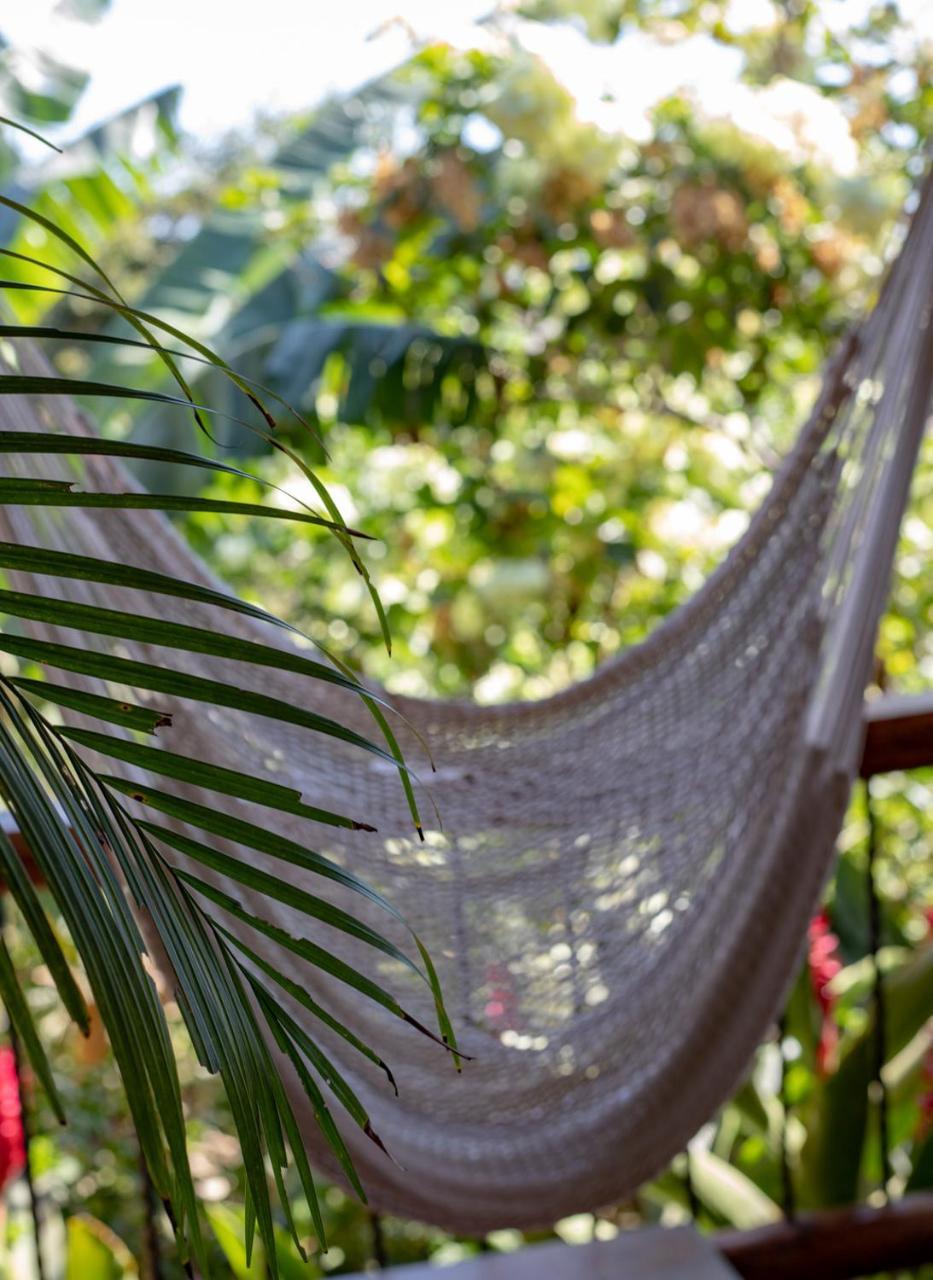 Villa Mango B&B Nosara Exteriör bild